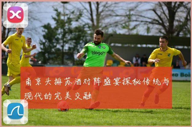 南京头排苏酒对阵盛宴探秘传统与现代的完美交融