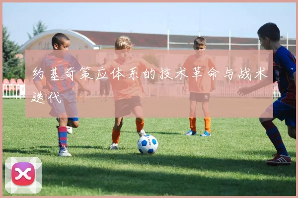 约基奇策应体系的技术革命与战术迭代