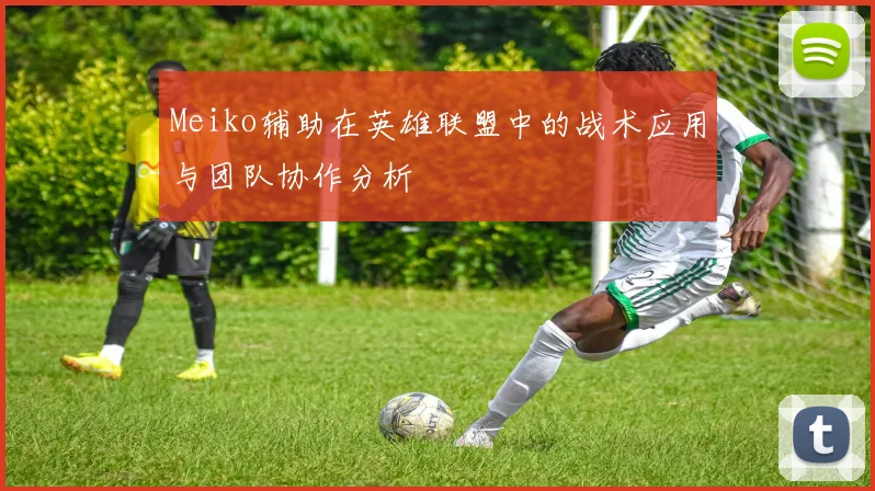 Meiko辅助在英雄联盟中的战术应用与团队协作分析