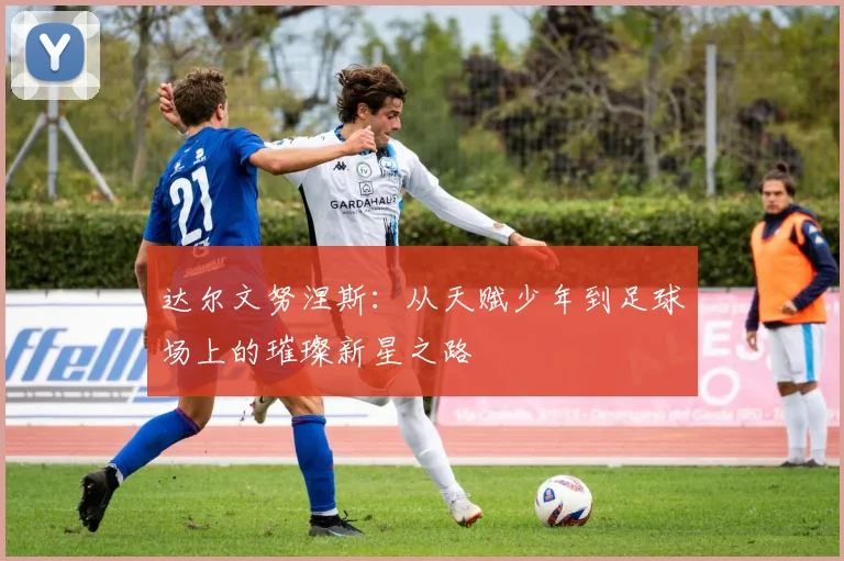 达尔文努涅斯：从天赋少年到足球场上的璀璨新星之路