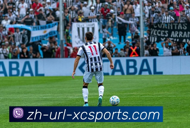 杏彩平台生态图